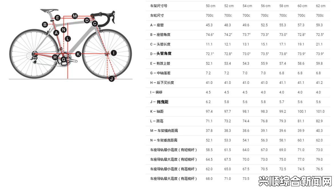 欧洲尺码与日本尺码的差异有哪些？如何正确转换2023年最新标准？详解不同尺码体系对比及实用换算技巧