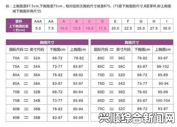 欧美尺码和日本尺码有什么区别？好来屋专线如何帮助你准确选择尺码？了解不同尺码对购物的影响与建议