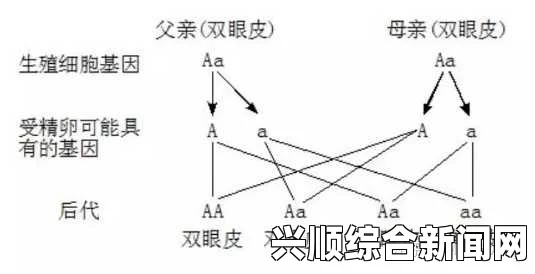 爸爸开的女儿情包会遗传吗？揭秘遗传与个性特点的关系，探讨基因如何影响我们的情感表达