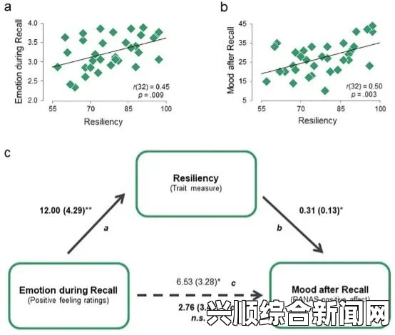 现代压力下的情绪调节：为什么越来越多的师傅推荐合欢丸H作为治疗选择——探讨其有效性与安全性