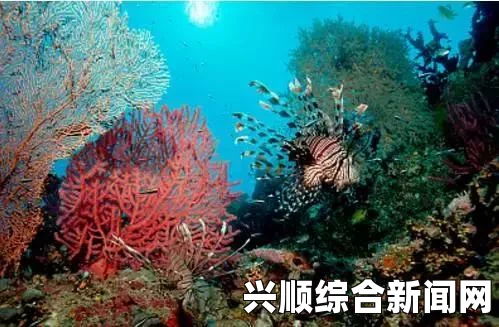 旅游换伴交流故事：带你走进不同文化背景的旅行伙伴，分享100篇有趣的旅行经历与心得，探索多元文化下的友谊与成长