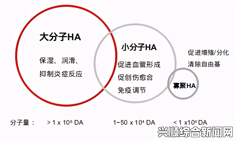 日韩产品与欧美产品的差异：功能、设计与文化影响的全面对比——探讨市场定位与消费者偏好的深层次原因