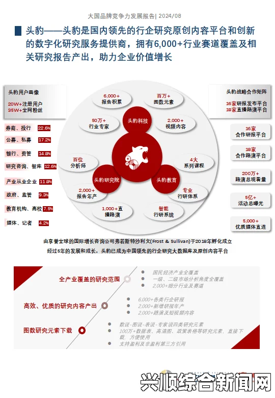 扣扣天美果冻制片厂的产品与市场定位：如何在激烈的竞争中脱颖而出？探索创新策略与品牌差异化之路