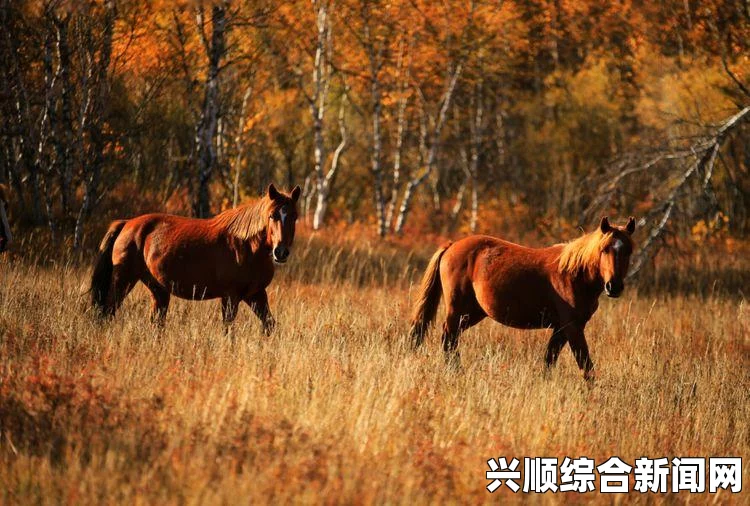 电动车充电异常红灯不灭，原因何在？安全排查要先行！及时检查确保用车安全与充电效率