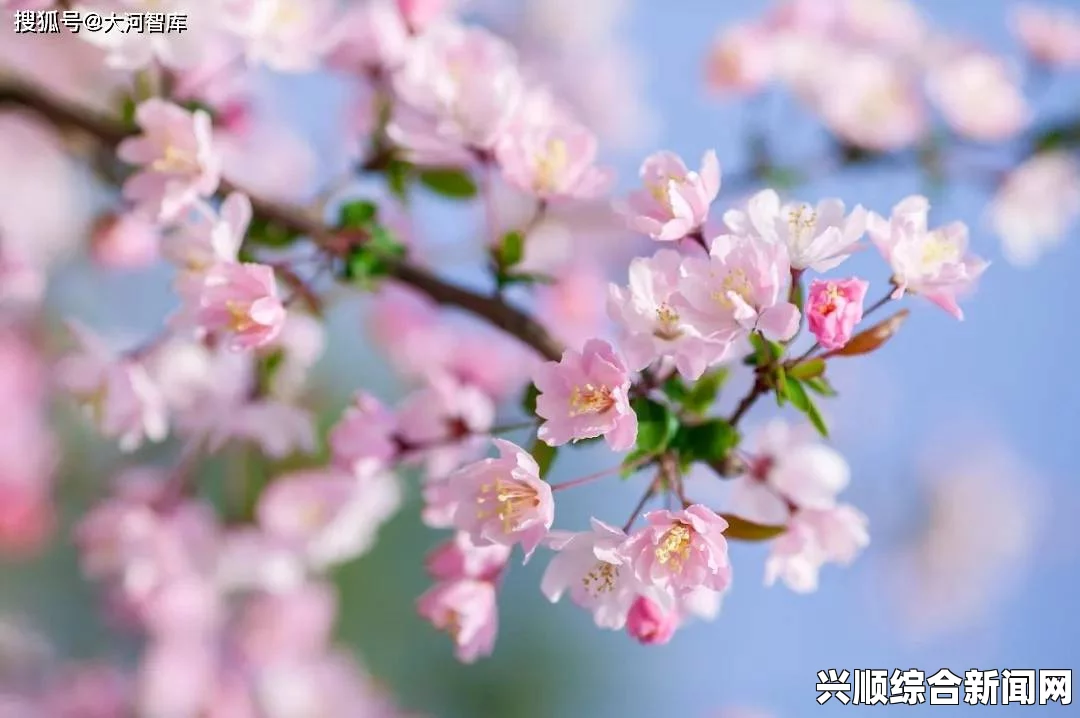 《被系统浇灌的日常(双／产)海棠》：系统与情感如何共同塑造主角的成长之路？探索内心世界与外部环境的交织影响