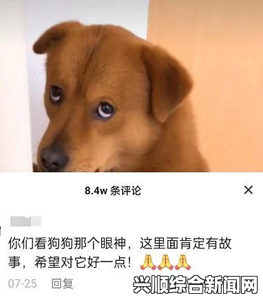 人狗大战：揭秘狗狗与主人之间的有趣互动与挑战，探索它们如何共同成长与相互理解