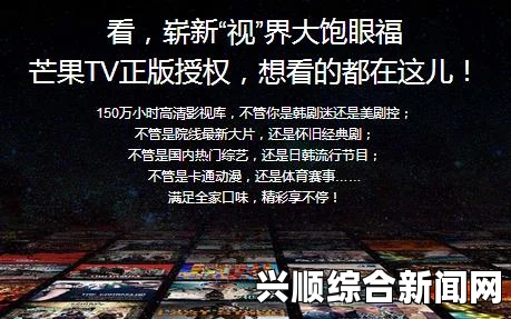 大地资源在线中文观看免费，如何安全高效地在线观看资源？探索最佳观看平台与技巧分享_元宇宙首映礼