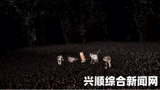 无马玫瑰园99：亚洲MV艺术新风潮引领未来音乐视频创作，探索视觉与听觉的完美结合_字幕组协作漏洞