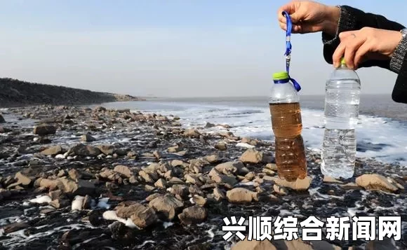 引言部分，环境问题再度浮出水面