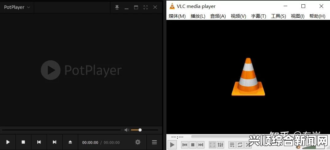 2024年免费视频播放器排行榜：从VLC到PotPlayer，最全评测推荐——助你找到最佳观影体验的完美选择_实用技巧