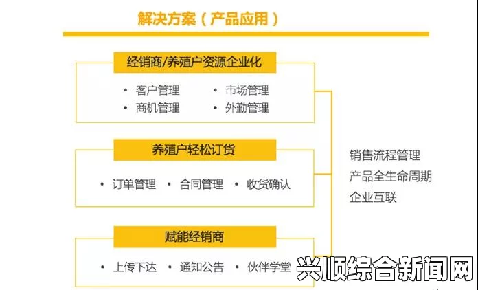 成免费CRM特色学生版功能强大，助力学业管理与团队协作，实现高效学习与沟通的完美结合_其情感与艺术价值