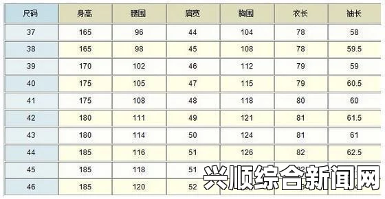 欧洲尺码与亚洲尺码的区别，购买服饰时必须了解的关键差异：掌握这些信息让购物更轻松_多元化美如何提升