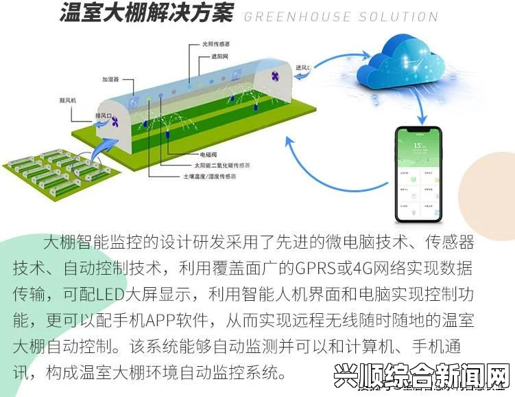 如何高效利用HPC（蜜丸）灌溉系统提升农业生产效率与水资源管理_享受无忧观看体验