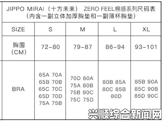 欧洲尺码与日本尺码差异解读：正康专线为您提供精准尺码匹配与快速运输服务，助您轻松购物无忧体验_互动与情感需求