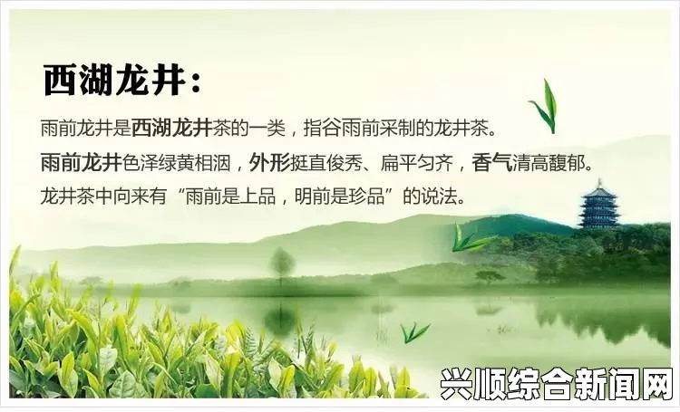 春动莲房：从自然现象到文化象征，带给你深刻的生命启示——探索生命的轮回与内心的宁静_如何选择自己的应用