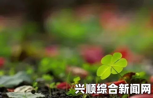 成品人和精品人究竟有什么不同？从四叶草的角度看生活态度和追求，探讨个体价值与幸福感的关系_轻松享受最新大片