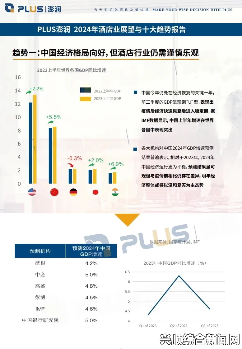 法国《酒店服务生》2024版是什么样的？它的变化与特点有哪些？——探讨新标准对行业的影响与未来发展趋势_虚拟偶像翻唱