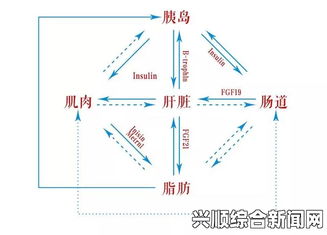 理性看待性行为：多方关系的生理和心理后果分析及社会文化影响——探讨现代社会中性行为的复杂性与多样性_青春欲望与情感的面貌