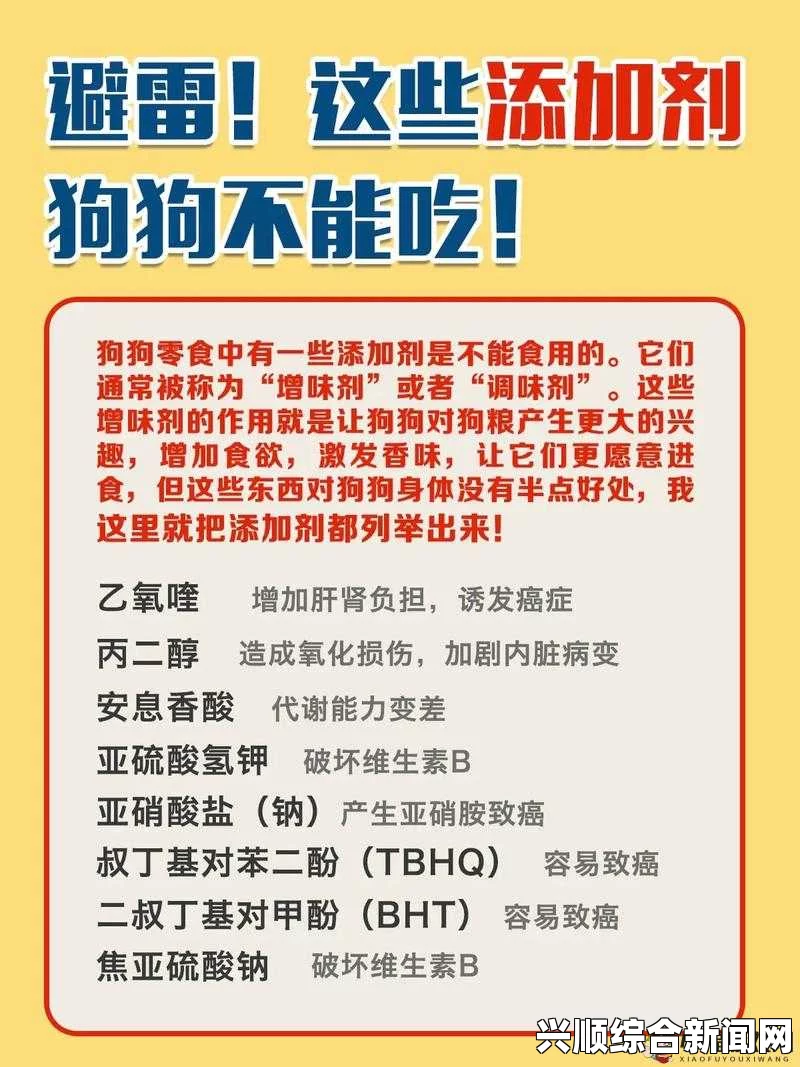 如何在20分钟内制作适合狗和人的健康胶配方？效果与注意事项有哪些？_视频更加细腻清晰