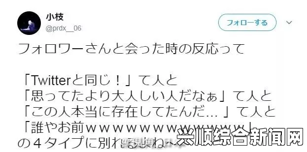 欧洲尺码与日本尺码有什么区别？美国特价商品值得买吗？——深入解析不同地区尺码标准及购物建议_法律合规白皮书