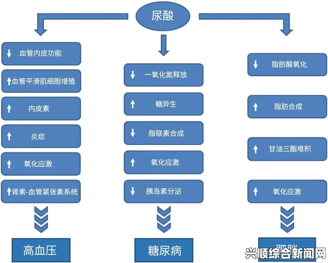 可能涉及的病症