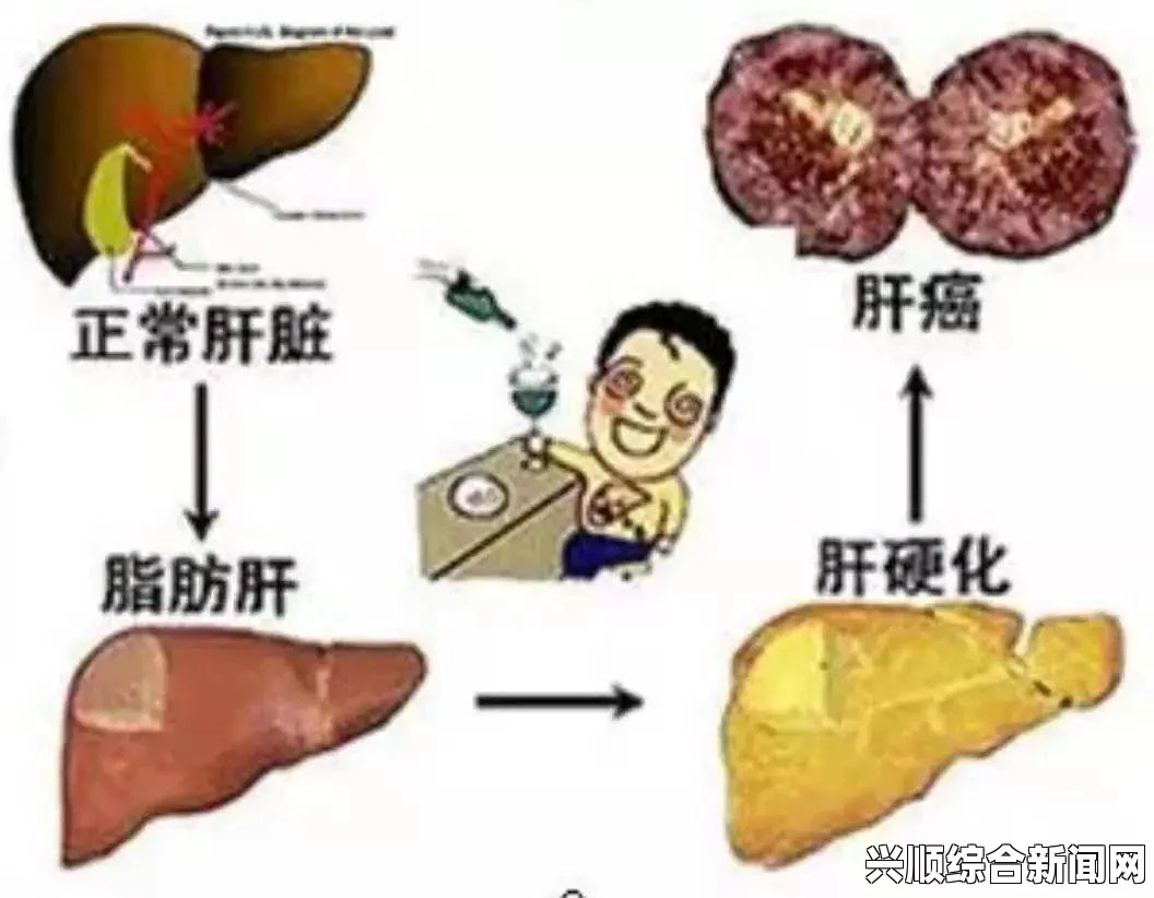 每天吃小花园食物是否会伤肝？了解影响肝脏健康的关键因素及其预防措施_优质内容分析