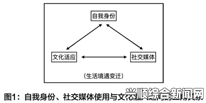 摸bbb搡bbbb搡bbb在网络文化中的独特地位：探索它的起源、影响与未来，揭示其背后的社会心理与文化意义_票房预测算法