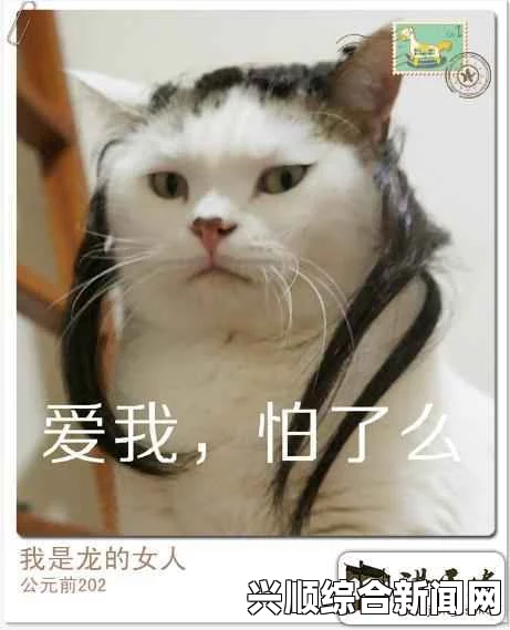 猫咪成人网名怎么取：结合地域特色与个性，打造独一无二的网名，展现你的独特魅力与风格_免费入口尽在这里