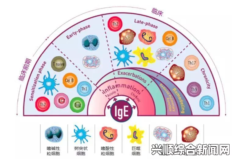 接下来是解答环节