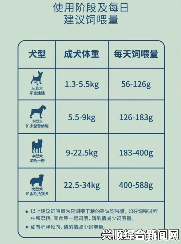 狗狗胶质配方20分钟见效，提升宠物健康的最佳选择：如何科学搭配营养补充剂，助力爱犬活力与免疫力双提升_纪录电视免费版