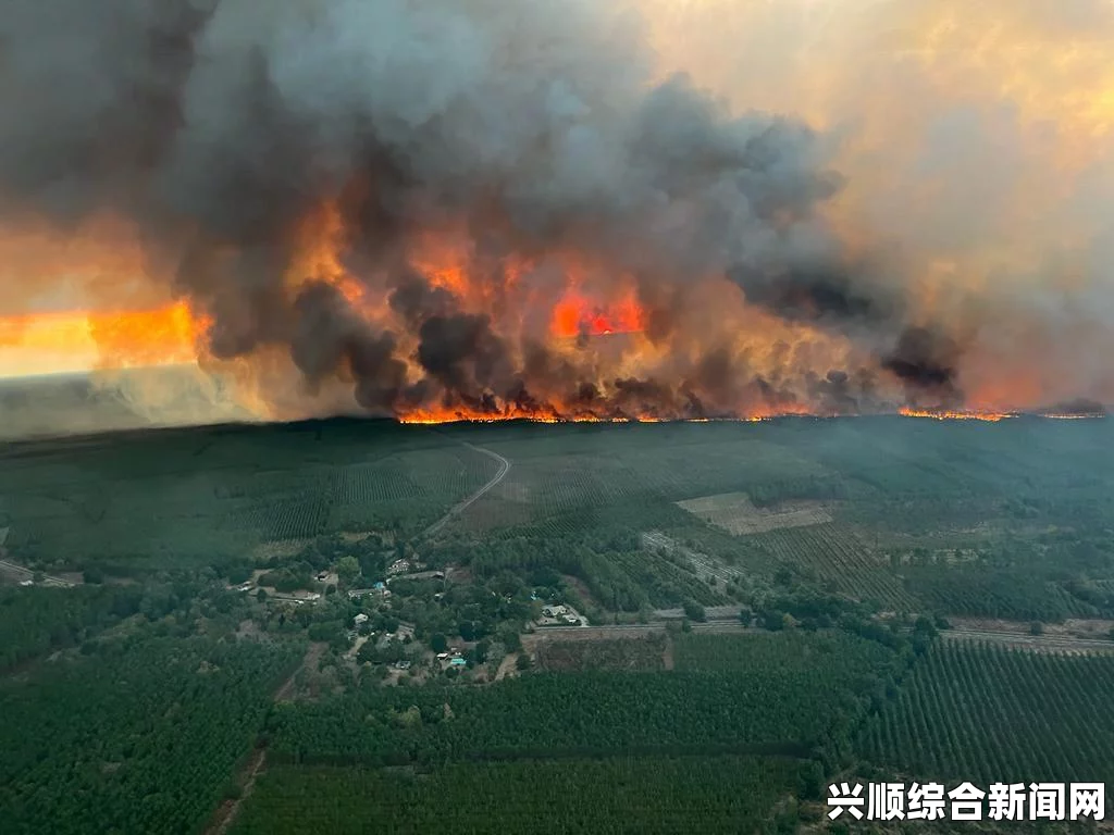 灭火宝贝1美版法国航空：探索电影中航空品牌塑造与文化背景的深度融合，揭示其对观众认知的影响与启示_如何维持幸福与平衡