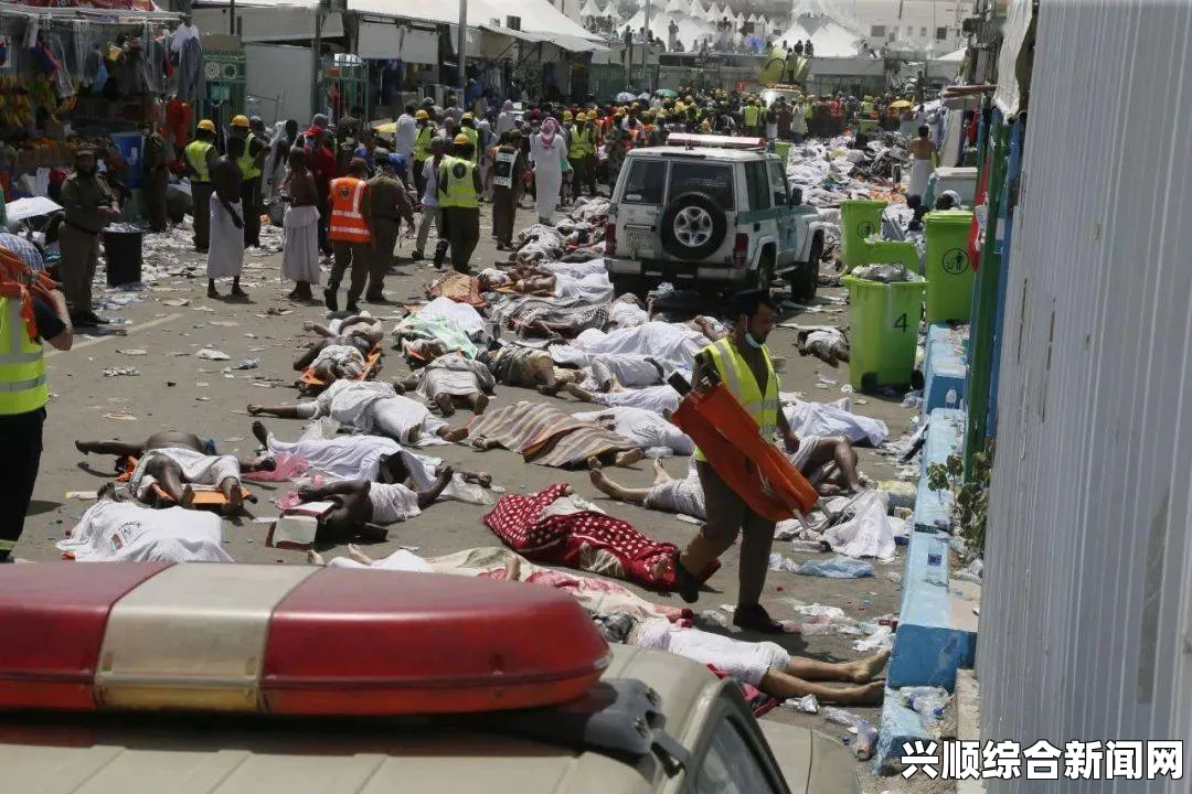 麦加米纳地区朝圣人群踩踏事故致百死伤数百人悲剧发生