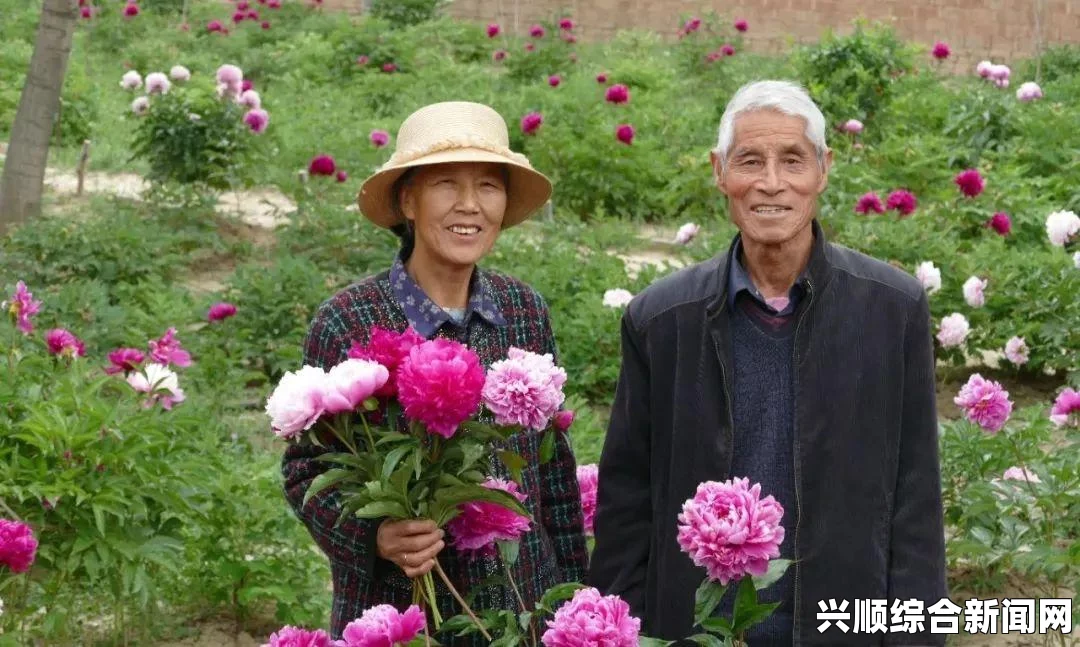 父亲通过花园打造一个充满家的温暖空间，促进家庭情感的交流，让每个成员都能感受到爱的滋养与归属感_网站观看人数在哪破解版