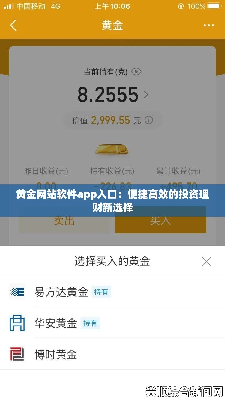 如何进入黄金网站窗口？有哪些步骤和技巧可以帮助你顺利访问？掌握这些方法轻松获取所需信息_画质备受好评