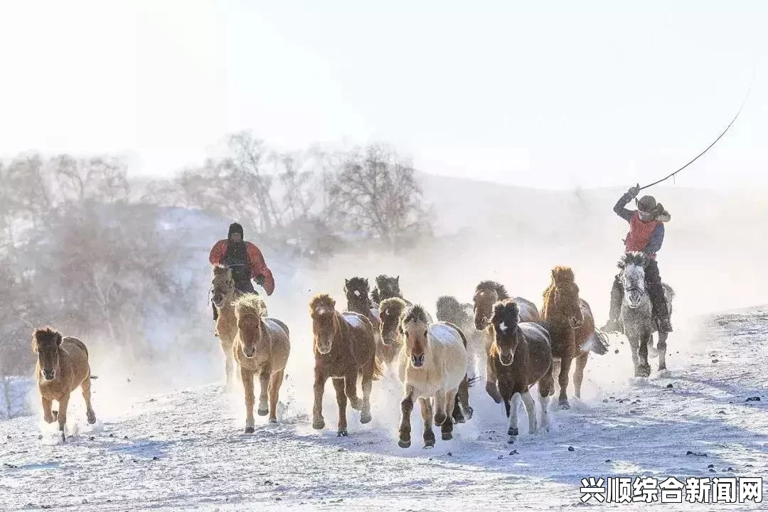 大地资源高清在线视频，让你随时享受高质量的自然资源探索体验，带你领略壮丽山河与奇妙生物的魅力_实用技巧