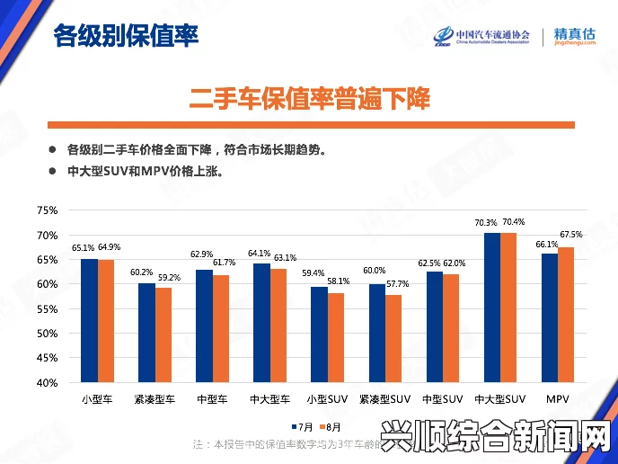 国产精产品一品二品市场竞争力分析：国产品牌如何通过一品二品赢得消费者青睐，探讨创新与品质提升的关键策略_轻松享受绿意生活