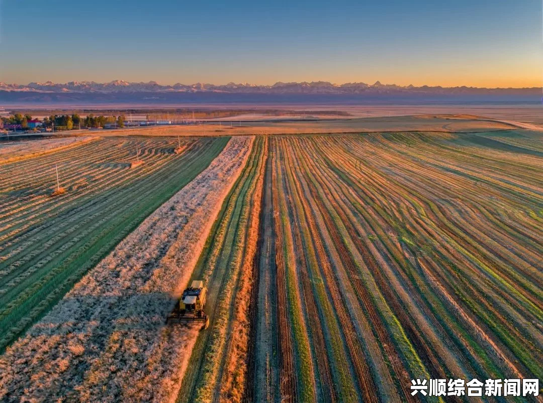 免费在线观看大地资源8的影视内容，尽享高清精彩影片与丰富多样的娱乐选择_网站观看人数在哪破解版