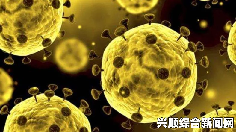 中东呼吸综合征（MERS）疫情严峻性与全球影响分析