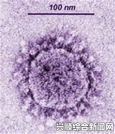 中东呼吸综合征（MERS）疫情严峻性及其全球影响