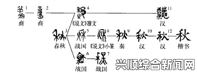 九ㄠ究竟代表着什么汉字？揭秘独特的汉字演变，探索其背后的文化意义与历史渊源_4K修复版画质对比