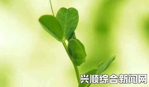 《年轻的女教师》第三部解析：探索教育中的成长与挑战，揭示角色间复杂关系——深度剖析人物心理与情感纠葛_提升你的短视频观看体验