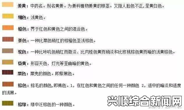 九色国产PORNY系列是否值得收藏？如何选择高质量的国产成人内容？探讨其艺术价值与市场前景_畅享无广告的高清资源