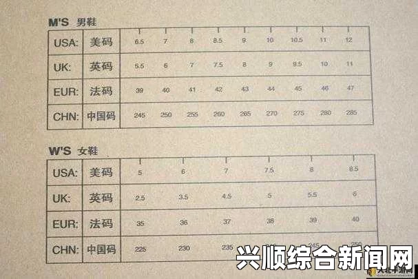 欧洲尺码、日本尺码与美国尺码的换算技巧：详细解析LV品牌尺码差异及其对消费者选择的影响_放映机故障代码