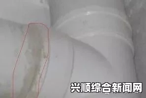 水拉丝了小扫货怎么办？快速解决水拉丝问题的实用技巧，教你轻松应对和修复方法分享_游客免登录