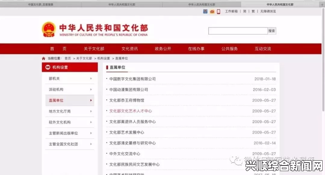 九一传媒公司：如何打造独一无二的网站，引领用户搜索新潮流？探索创新设计与用户体验的完美结合_主演直播事故