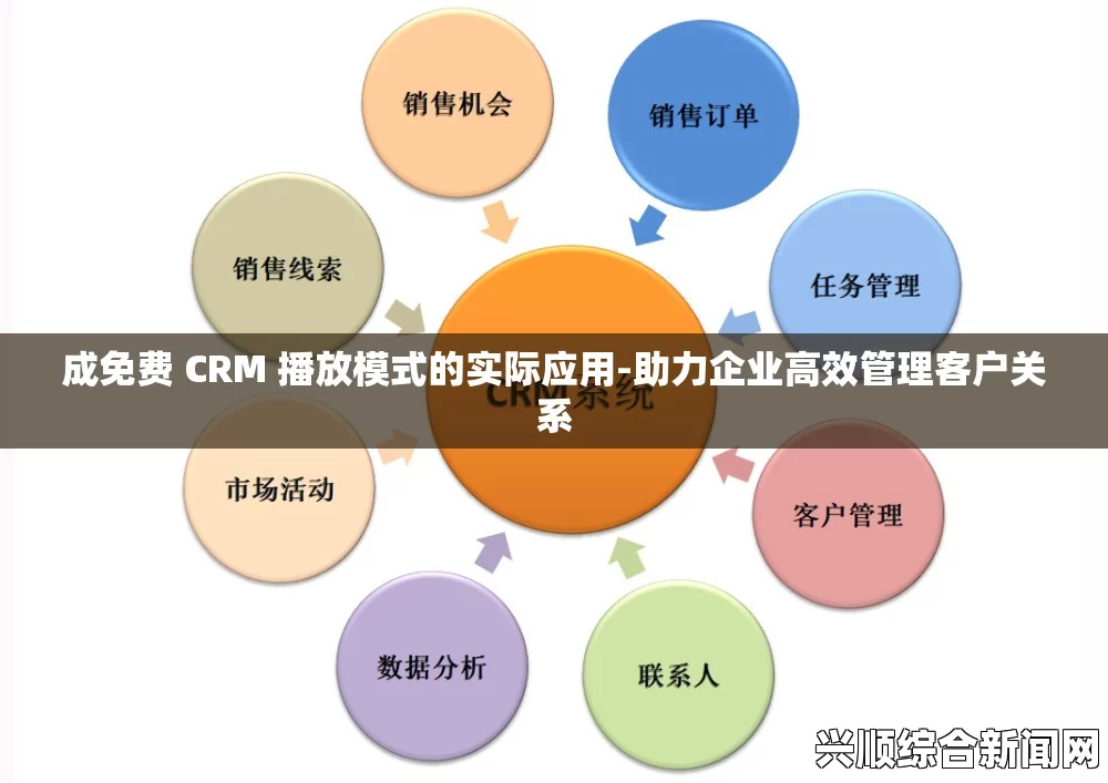 成品视频CRM系统如何助力企业客户管理？提升客户关系与销售效率的最佳解决方案_放映技术史