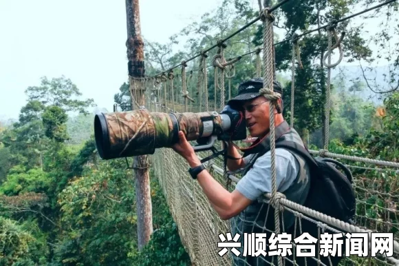 探索中国野外MGDRCC：自然探险爱好者的最佳选择，独特景观与丰富生物多样性让你陶醉其中，尽享大自然的奇妙魅力与无穷乐趣_剧情解析