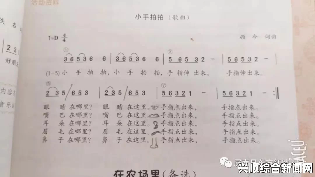 在我的花园里要燥起来歌词分析：揭示歌曲如何通过节奏与情感表达生活态度，探讨其对现代人心灵的启迪与共鸣_轻松享受绿意生活