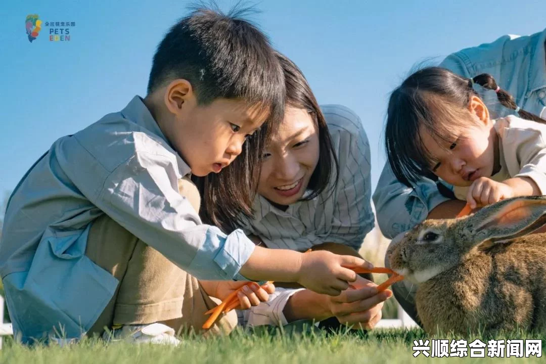 小鸡跟着妈妈一起玩游戏的意义：从亲子互动到生存技巧的学习，探索自然界中的教育与成长之道_画质备受好评