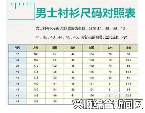 欧洲尺码与日本尺码的区别是什么？如何转换才能准确选购服装？——详解尺码对比及选购技巧_纪录电视免费版